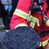 Völlig verkohlt holte die Feuerwehr die Pizza aus dem Ofen. Dank Rauchmelder konnte die Feuerwehr alarmier und Schlimmeres verhindert werden.