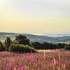 Als „Heimat mit Weitblick“ will die Rhön das bekannteste Mittelgebirge in Deutschland werden.