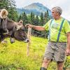 Konrad Müller, Bergbauer aus dem Oberallgäu, hat Angst um seine Rinder, seit er auf seiner Weide zwei tote Kälber entdeckt hat. Für ihn steht fest: Das war ein Wolf.