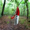 ARCHIV - 18.06.2015, Bayern, Kist: Reste von Absperrbändern der Polizei liegen in einem Wald bei Kist (Bayern). In dem Waldstück wurde ein entführter 50-jähriger Mann aufgefunden. Der Unternehmer Würth zählt zu den reichsten Deutschen. Jetzt wurde sein Sohn entführt, später aber in dem Wald wohlbehalten gefunden. Lösegeld soll nicht geflossen sein. (zu dpa «Tatverdächtiger nach Entführung von Milliardärssohn festgenommen» vom 14.03.2018) Foto: Karl-Josef Hildenbrand/dpa +++(c) dpa - Bildfunk+++ | Verwendung weltweit ARCHIV - 18.06.2015, Bayern, Kist: Reste von Absperrbändern der Polizei liegen in einem Wald bei Kist (Bayern). In dem Waldstück wurde ein entführter 50-jähriger Mann aufgefunden. Der Unternehmer Würth zählt zu den reichsten Deutschen. Jetzt wurde sein Sohn entführt, später aber in dem Wald wohlbehalten gefunden. Lösegeld soll nicht geflossen sein. (zu dpa «Tatverdächtiger nach Entführung von Milliardärssohn festgenommen» vom 14.03.2018) Foto: Karl-Josef Hildenbrand/dpa +++(c) dpa - Bildfunk+++ | Verwendung weltweit