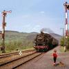 Juni 1972: Der kleine Klaus und Rauhhaardackel 'Peterle' haben sich im Bahnhof Gamburg an der Taubertalstrecke Lauda - Wertheim eingefunden und erwarten den herannahenden Nachmittagspersonenzug mit Tenderlok 64 419 an der Spitze. 