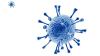 Das Humane Immundefizienz-Virus (HIV) ist ein behülltes Virus aus der Familie der Retroviren. Mit einem Durchmesser von etwa 100 bis 120 Nanometer ist es für ein Virus überdurchschnittlich groß. Das Humane Immundefizienz-Virus (HIV) ist ein behülltes Virus aus der Familie der Retroviren. Mit einem Durchmesser von etwa 100 bis 120 Nanometer ist es für ein Virus überdurchschnittlich groß.