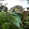 Entlastet ist der Landwirt im Christbaumdorf Mittelsinn im Lkr. Main-Spessart, der verdächtigt worden war, das verbotene Pflanzenschutzmittel E605 verwendet zu haben.