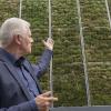 Oberbürgermeister Fritz Kuhn vor dem Stuttgarter City Tree.