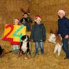 Adventskalender: Endlich Weihnachten