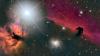 Eine tierische Galaxie: Der Pferdekopfnebel.