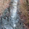 Der Marienbach führte auch am Dienstagmorgen nach dem Regen am Wochenende und am Montag kaum noch Wasser.