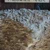 Trochiten-Kalk. Entstanden aus den Stielgliedern der abgestorbenen Seelilien. Trochiten-Kalk. Entstanden aus den Stielgliedern der abgestorbenen Seelilien.