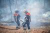 Feuerwehrleute löschen einen Waldbrand bei Bischbrunn.