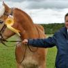 Präsentiert stolz seine Siegerschleife: Pferd Wagelwitz und Dressurreiterin Anouk Wächter waren zufrieden.