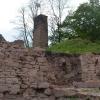 Freigelegt ist die nördliche Mauer mit dem Tor auf der Burgruine in Partenstein. Diese muss nun dringend saniert werden.