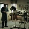 Das Stattkino zeigt den italienischen Cannes Wettbewerbsbeitrag "Dogman" von Matteo Garrone am Mittwoch, 15. Mai, um 18 Uhr und um 20.15 Uhr jeweils in der deutschen Fassung.