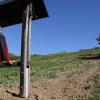 Früher Weinberg, zukünftig Blumenwiese: Seine 20 000 Quadratmeter Fläche stellt der Müdesheimer Hartmut Eckert künftig der Umwelt und seinen Lebewesen zur Verfügung. 