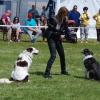 Anmut und Grazie beim Dogdancing. Patricia mit Kylie und Apollo