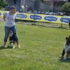 Und noch einmal Dogdancing. Franzi mit Josy und Steffi mit Shadow Und noch einmal Dogdancing. Franzi mit Josy und Steffi mit Shadow