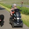 Die Seniorin Regina Klasmeyer kann ihren Bouvier Butch dort Gasse führn, wo sie sonst in die Büsche gequetscht wird: Auf dem Radweg zwischen Volkach und Fahr, weil alle Radler und Skater auf der Straße fahren.