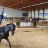 Auf der Olympiareitanlage in München-Riem erreichte Madlen Schlott (Burggrumbach) auf ihrem Pferd KCM C.Beaudine, die für den Pferdesportverein Gut Ebenroth an den Start ging, einen hervorragenden zweiten Platz. Auf der Olympiareitanlage in München-Riem erreichte Madlen Schlott (Burggrumbach) auf ihrem Pferd KCM C.Beaudine, die für den Pferdesportverein Gut Ebenroth an den Start ging, einen hervorragenden zweiten Platz.