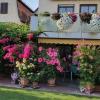 Das Gartenparadies von Brigitte Wegner, die einen grünen Daumen zu haben scheint.