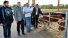 Im Rahmen der Wirtschaftsgespräche besuchte Landrat Thomas Habermann den Schwalbenhof in Wülfershausen, hier sieht man (von links) Balthasar Weber, Bürgermeister Wolfgang Seifert, Manfred Endres, Karl-Heinrich Weber, Jörg Geier und Landrat Thomas Habermann.