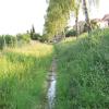 Es ist gehört Fantasie dazu, in dieser Wasserrinne am Birkenweg in Güntersleben einen Bach zu erkennen.