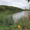 Der Messelausee in der Gemarkung Hainert, der der Stadt Haßfurt gehört, ist ein Kleinod. Um zu verhindern, dass es hier wie schon 2018 zu einem massiven Fischsterben kommt, wollen die Anglerfreunde Nassachtal als Pächter eine Belüftungsanlage einbauen.