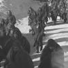 Im Bilde eine Kolonne deutscher Kriegsgefangener im Februar 1943 wenige Tage nach Ende der Schlacht von Stalingrad. Im Bilde eine Kolonne deutscher Kriegsgefangener im Februar 1943 wenige Tage nach Ende der Schlacht von Stalingrad.