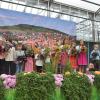 Die Kindergruppe des Uettinger Gartenbauvereins stellten die Heuchera vor, die Herbstblume des Jahres. Von der dunkelroten "Black Night" (Dritte von rechts), der hellgrünen "Crème brulée" (Sechste von rechts) bis zur "Wild Rose" ganz links gibt es fast alle Farben des Spektrums. Die Kindergruppe des Uettinger Gartenbauvereins stellten die Heuchera vor, die Herbstblume des Jahres. Von der dunkelroten "Black Night" (Dritte von rechts), der hellgrünen "Crème brulée" (Sechste von rechts) bis zur "Wild Rose" ganz links gibt es fast alle Farben des Spektrums.