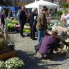 Herbstliche Floristik und Dekoratives stand beim sonntäglichen Markttag in Eibelstadt hoch im Kurs.