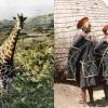 Über 300 Dias hat Egon Blatz von seiner Reise nach Südafrika mitgebracht.