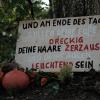 Natur hautnah erleben – das war das Motto des Walderlebnistages. Natur hautnah erleben – das war das Motto des Walderlebnistages.