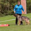 Kommandos wie „Steh“, „Sitz“ und „Platz“ musste der Hund sofort befolgen. Kommandos wie „Steh“, „Sitz“ und „Platz“ musste der Hund sofort befolgen.