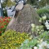 Yachtclub Wernfeld: Idyll am Hafenbecken. Yachtclub Wernfeld: Idyll am Hafenbecken.