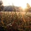 Raufreif beim Sonnenaufgang in den Saale-Wiesen.