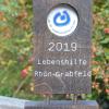 Der "Lebenshilfe Award". Die Holzskulptur wurde von Johanna Helle geschaffen. Der "Lebenshilfe Award". Die Holzskulptur wurde von Johanna Helle geschaffen.