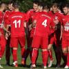 Hatten am Sonntag trefflich Grund zum Jubeln: die Spieler des TSV Wiesentheid nach dem 6:1-Erfolg gegen die Sportfreunde Steinbach.