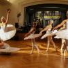 Schwanensee – dargeboten von Tänzerinnen der Dance-Academy Schweinfurt. Schwanensee – dargeboten von Tänzerinnen der Dance-Academy Schweinfurt.