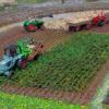 Zuckerrübenernte wie anno dazumal: Den an den Traktor angebauten Roder hat Uwe Sieber nach Originalfotos aus Kunststoffteilen selbst gebaut. Zuckerrübenernte wie anno dazumal: Den an den Traktor angebauten Roder hat Uwe Sieber nach Originalfotos aus Kunststoffteilen selbst gebaut.