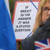 Themen wie der Brexit eignen sich gut für apokalyptische Szenarien. 