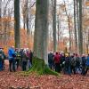 Das Naturwaldreservat Waldhaus trägt maßgeblich zur Spitzenbewertung des Nordsteigerwalds bei. Der „Hohe Buchene Wald“ vernetzte es mit dem Naturwaldreservat  „Brunnstube“, gemeinsam bilden sie die wertvollste Kernfläche.