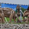 Solche und ähnliche Tierskulpturen aus Treibholz wollte der Ochsenfurter Kunsthändler Markus Schönrock am Schwanberg aufstellen.