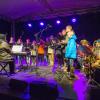 Auf der Bühne intonierten Musiker die Adventslieder, in die die Besucher einstimmten. Auf der Bühne intonierten Musiker die Adventslieder, in die die Besucher einstimmten.