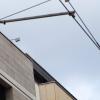 Kaum erkennbar der Laser an einer Fassade in der Schönbornstraße angebracht, der die Passanten in der beliebten Einkaufstraße misst. Kaum erkennbar der Laser an einer Fassade in der Schönbornstraße angebracht, der die Passanten in der beliebten Einkaufstraße misst.