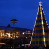 Der weltgrößte Bierkasten-Christbaum kommt vor dem Regentenbau sehr gut zur Geltung.