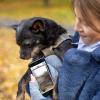 Hunde haben in der App ein Profil mit den wichtigsten Angaben. Hunde haben in der App ein Profil mit den wichtigsten Angaben.