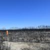 Australien: Was das Feuer übrig lässt