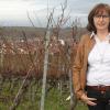 Weniger Arbeit als Leidenschaft: In den Weinbergen oberhalb von Nordheim fühlt sich Sibylle Säger wohl. Dort kann sie abschalten, sagt die Bürgermeisterkandidatin von CSU und Freie Bürger.