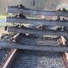 Das Endstück der Steigerwaldbahn kurz vor Kitzingen.