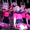 Aktivengarde der Carneval-Freunde-Zellerau. Aktivengarde der Carneval-Freunde-Zellerau.