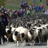 Von den Hochlagen der Rhön wieder zurück ins Tal geht es beim Weideabtrieb in Ginolfs im Oktober. Von den Hochlagen der Rhön wieder zurück ins Tal geht es beim Weideabtrieb in Ginolfs im Oktober.
