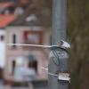 An den Mainbrücken in Lohr tobten Wind und Regen: So sind viele Laternenmasten von Wahlplakaten befreit, hängen nur noch die Kabelbinder. An den Mainbrücken in Lohr tobten Wind und Regen: So sind viele Laternenmasten von Wahlplakaten befreit, hängen nur noch die Kabelbinder.